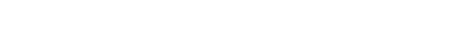 Bully Max  logo